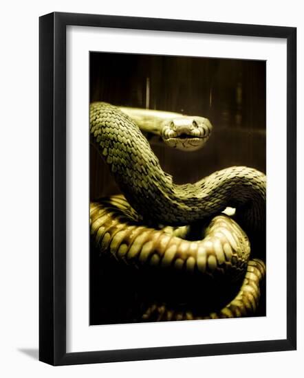 Watched-Clive Nolan-Framed Photographic Print