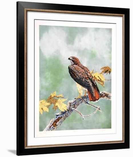 Watcher-Chris Forrest-Framed Limited Edition