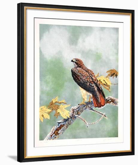 Watcher-Chris Forrest-Framed Limited Edition