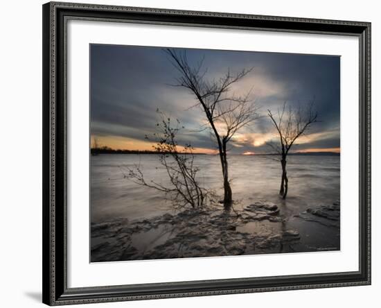 Watchers-Irene Suchocki-Framed Photographic Print