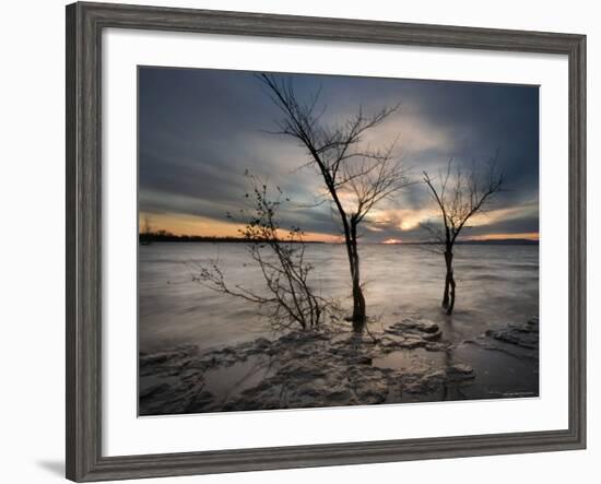 Watchers-Irene Suchocki-Framed Photographic Print