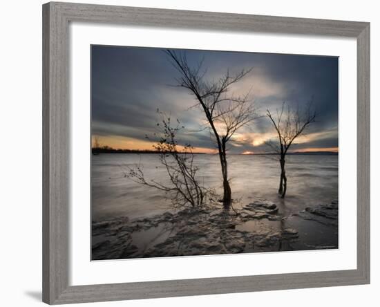 Watchers-Irene Suchocki-Framed Photographic Print