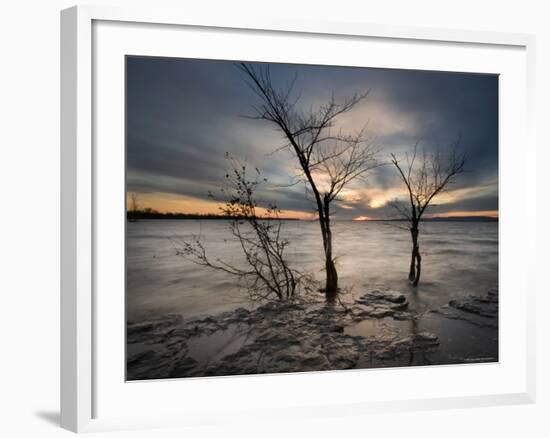 Watchers-Irene Suchocki-Framed Photographic Print