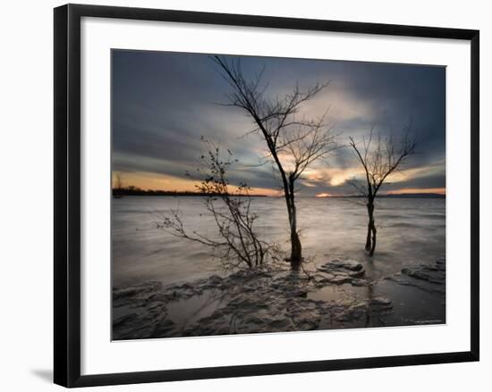 Watchers-Irene Suchocki-Framed Photographic Print