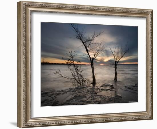 Watchers-Irene Suchocki-Framed Photographic Print