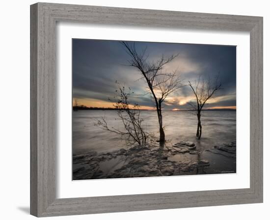 Watchers-Irene Suchocki-Framed Photographic Print