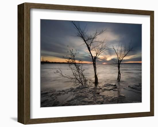 Watchers-Irene Suchocki-Framed Photographic Print