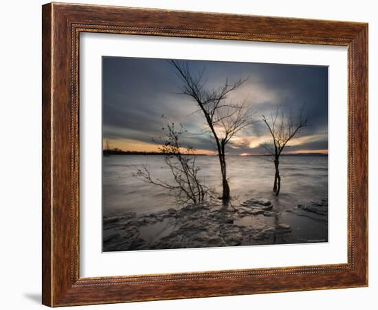 Watchers-Irene Suchocki-Framed Photographic Print