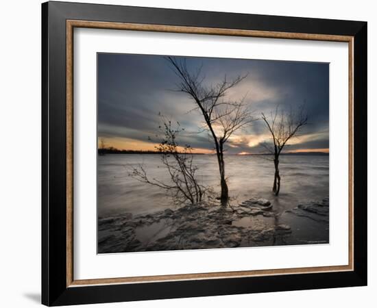 Watchers-Irene Suchocki-Framed Photographic Print