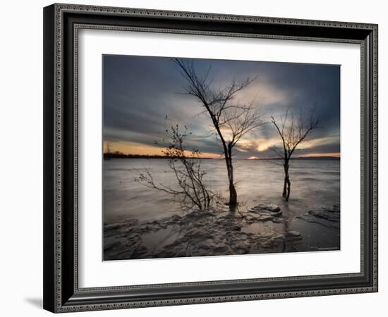 Watchers-Irene Suchocki-Framed Photographic Print