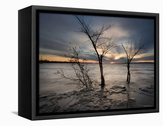 Watchers-Irene Suchocki-Framed Premier Image Canvas