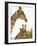 Watchful Giraffes at Namutoni Resort, Namibia-Joe Restuccia III-Framed Photographic Print