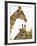 Watchful Giraffes at Namutoni Resort, Namibia-Joe Restuccia III-Framed Photographic Print
