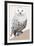 Watchful I-Kate Mawdsley-Framed Giclee Print