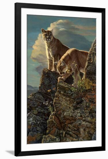 Watchful Sentry (Mountain Lions)-Kalon Baughan-Framed Giclee Print