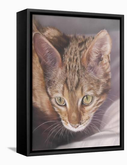 Watchful-Janet Pidoux-Framed Premier Image Canvas