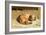 Watching Dog, 1875 (Oil on Canvas)-Briton Riviere-Framed Giclee Print