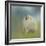 Watching for Rain Drops Pomeranian-Jai Johnson-Framed Giclee Print