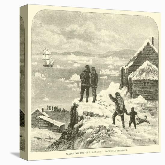 Stretched Canvas Print, , large