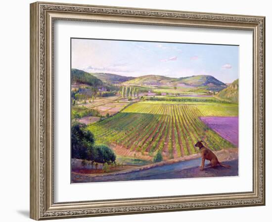 Watching from the Walls, Old Provence, 1993-Timothy Easton-Framed Giclee Print