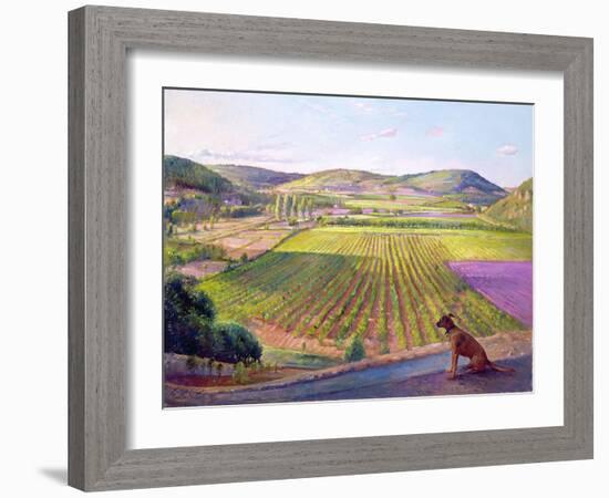 Watching from the Walls, Old Provence, 1993-Timothy Easton-Framed Giclee Print