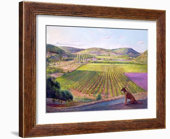 Watching from the Walls, Old Provence, 1993-Timothy Easton-Framed Giclee Print