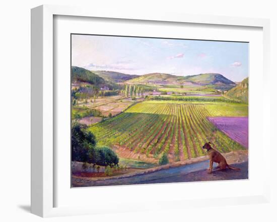 Watching from the Walls, Old Provence, 1993-Timothy Easton-Framed Giclee Print