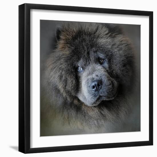 Watching Master Blue Chow Chow-Jai Johnson-Framed Giclee Print