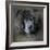 Watching Master Blue Chow Chow-Jai Johnson-Framed Giclee Print