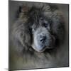 Watching Master Blue Chow Chow-Jai Johnson-Mounted Giclee Print