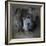 Watching Master Blue Chow Chow-Jai Johnson-Framed Giclee Print