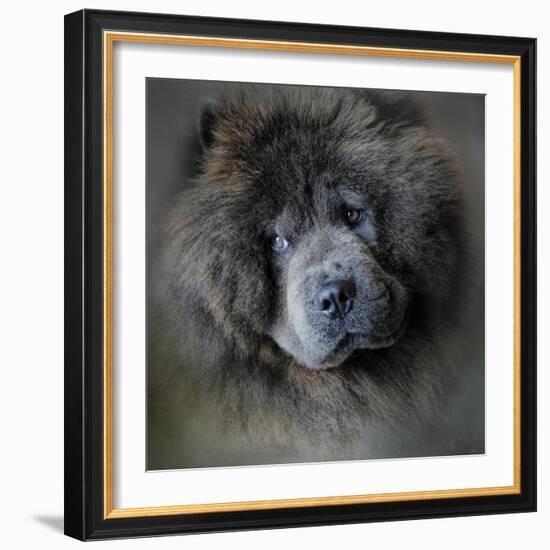 Watching Master Blue Chow Chow-Jai Johnson-Framed Giclee Print