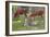 Watching the Cows-Theodore Robinson-Framed Giclee Print