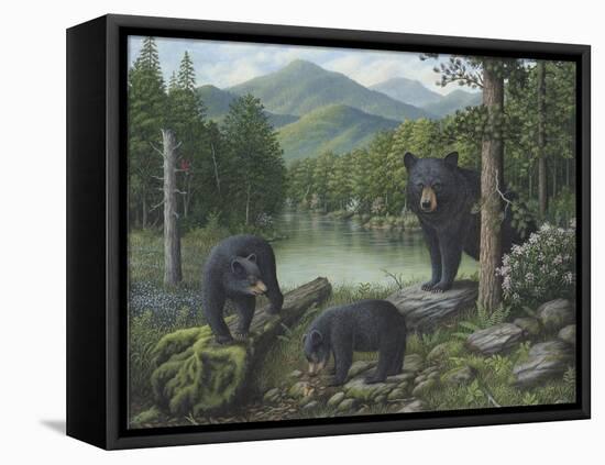 Watching the Cubs Play-Robert Wavra-Framed Premier Image Canvas