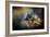 Watching the Drama-Jai Johnson-Framed Giclee Print