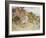 Watching the Ducks (Pencil and W/C on Paper)-William Stephen Coleman-Framed Giclee Print