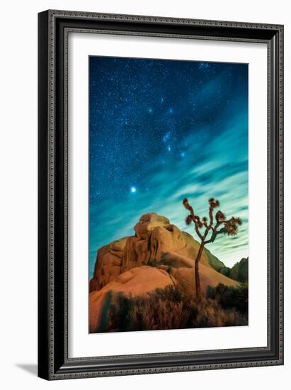 Watching The Stars Dance In Joshua Tree National Park-Daniel Kuras-Framed Photographic Print