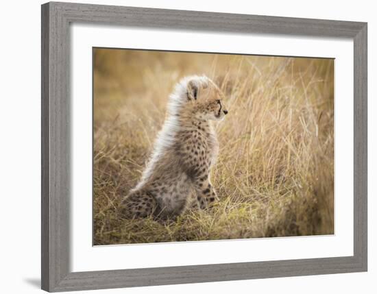 Watching You Mom-Faisal Alnomas-Framed Giclee Print