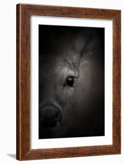 Watching-Jai Johnson-Framed Giclee Print