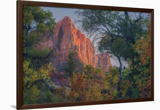 Watchman and Fall Frame, Zion Southwest Utah-Vincent James-Framed Photographic Print