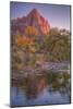 Watchman Reflection in Virgin River, Southwest Utah-Vincent James-Mounted Photographic Print