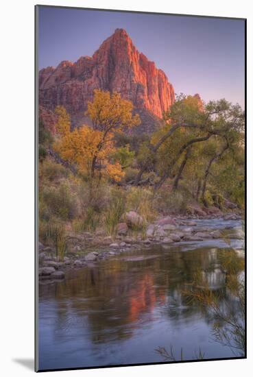 Watchman Reflection in Virgin River, Southwest Utah-Vincent James-Mounted Photographic Print