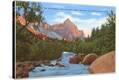 Stretched Canvas Print