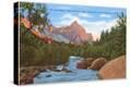 Stretched Canvas Print
