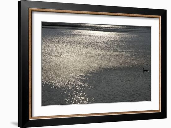 Water 8403-Rica Belna-Framed Giclee Print