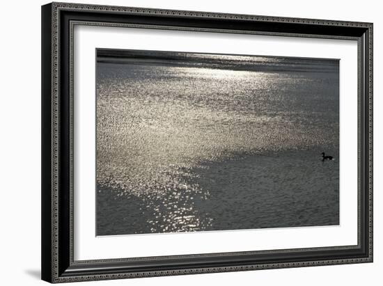 Water 8403-Rica Belna-Framed Giclee Print