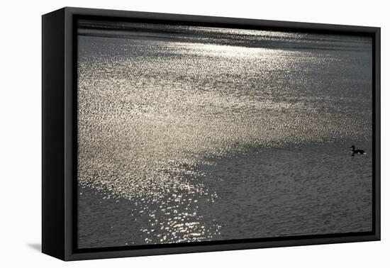 Water 8403-Rica Belna-Framed Premier Image Canvas