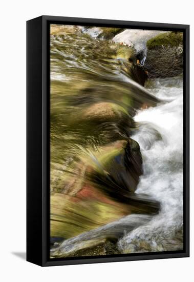 Water Abstract I-Danny Head-Framed Premier Image Canvas