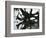 Water and Tree Reflection, 1968-Brett Weston-Framed Photographic Print