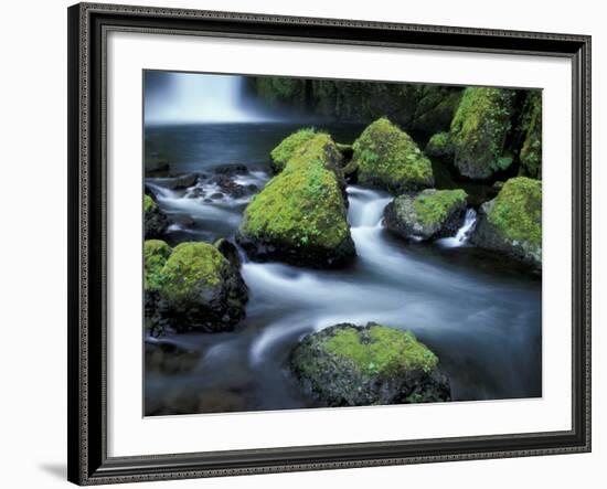 Water Below Wahclella Falls, Columbia River Gorge National Scenic Area, Oregon, USA-Adam Jones-Framed Photographic Print